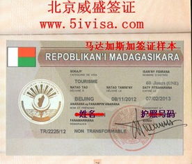 馬達(dá)加斯加商務(wù)簽證代辦 流程、時(shí)間與代理服務(wù)全解析